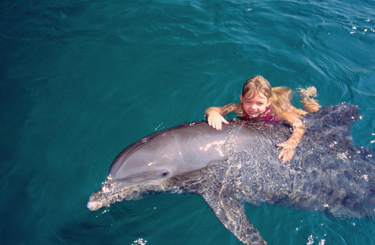 Vert Hotel Eilat By Afi Hotels المظهر الخارجي الصورة Dolphin and girl